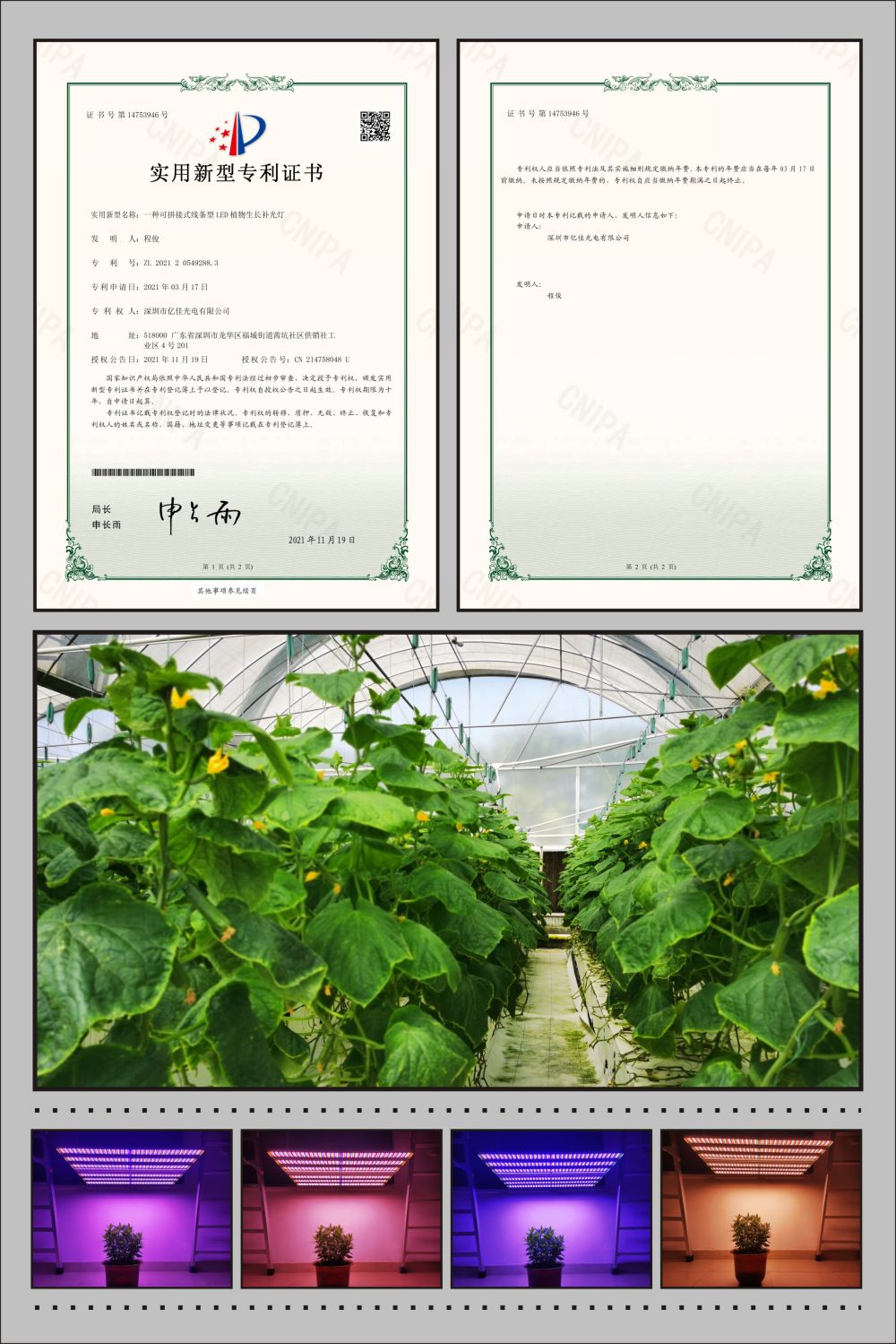 拉斯维加斯游戏植物农场灯适用新型专利
